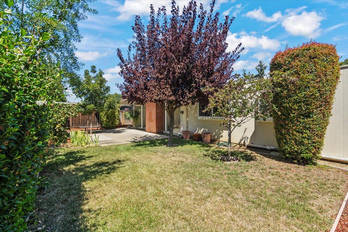 Detail Gallery Image 14 of 15 For 939 S Tantau Ave, Cupertino,  CA 95014 - 4 Beds | 2 Baths