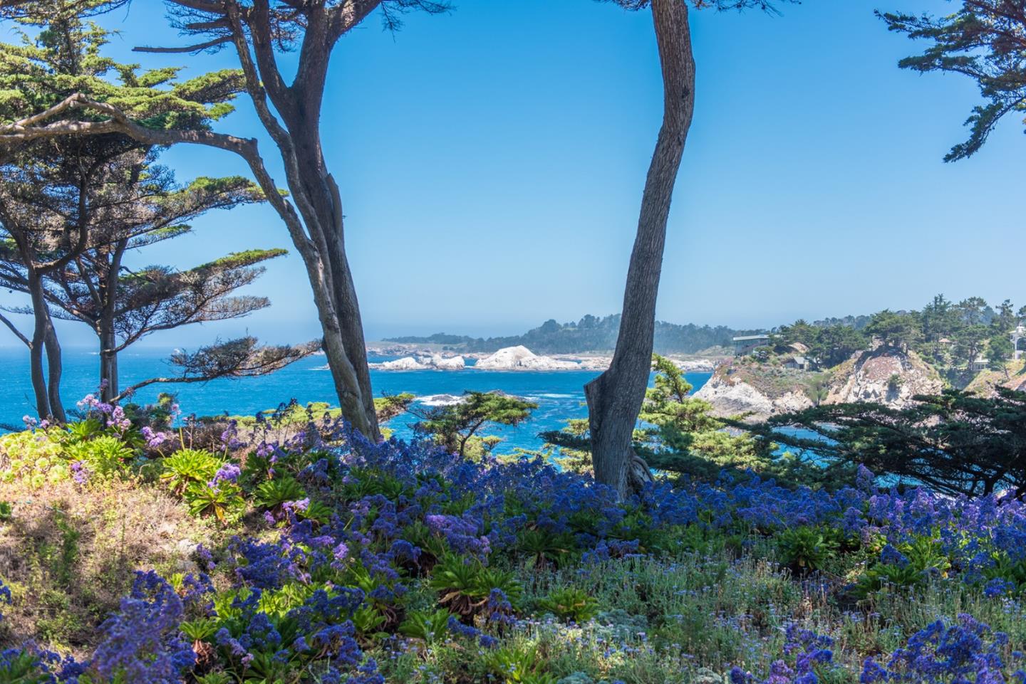 Detail Gallery Image 93 of 101 For 157, 163 Spindrift Rd, Carmel,  CA 93923 - 13 Beds | 13/4 Baths