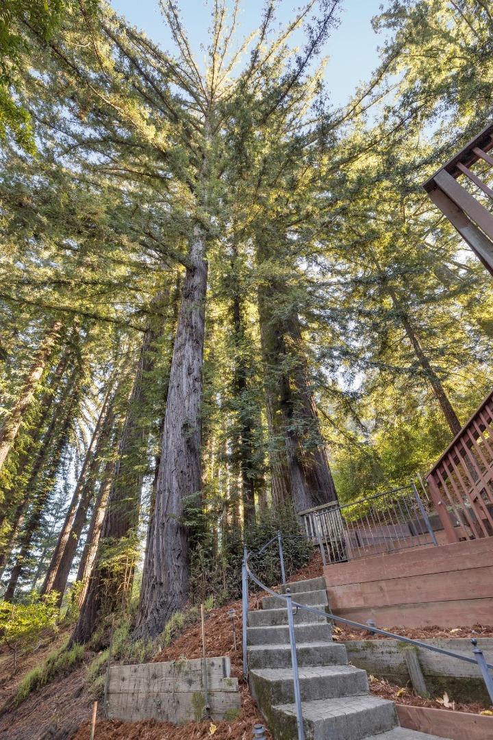 Detail Gallery Image 34 of 36 For 20080 Gist Rd, Los Gatos,  CA 95033 - 1 Beds | 1 Baths