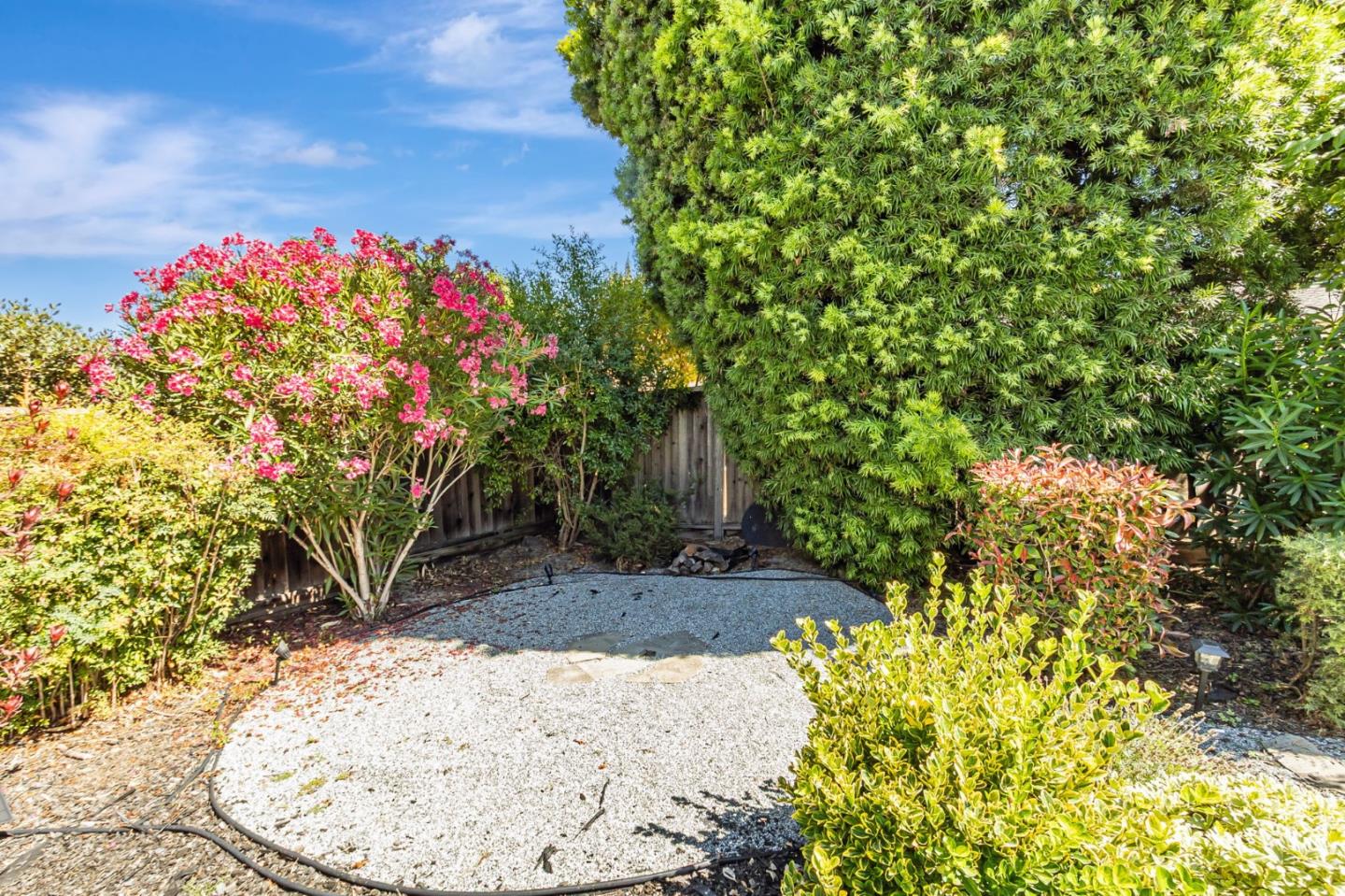 Detail Gallery Image 49 of 51 For 824 Buchser Way, San Jose,  CA 95125 - 3 Beds | 2/1 Baths