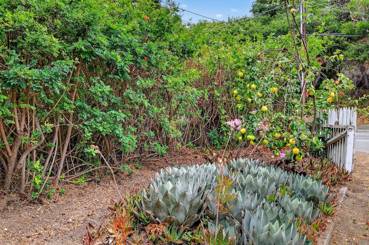 Detail Gallery Image 36 of 46 For 3475 N Main St, Soquel,  CA 95073 - 2 Beds | 1 Baths