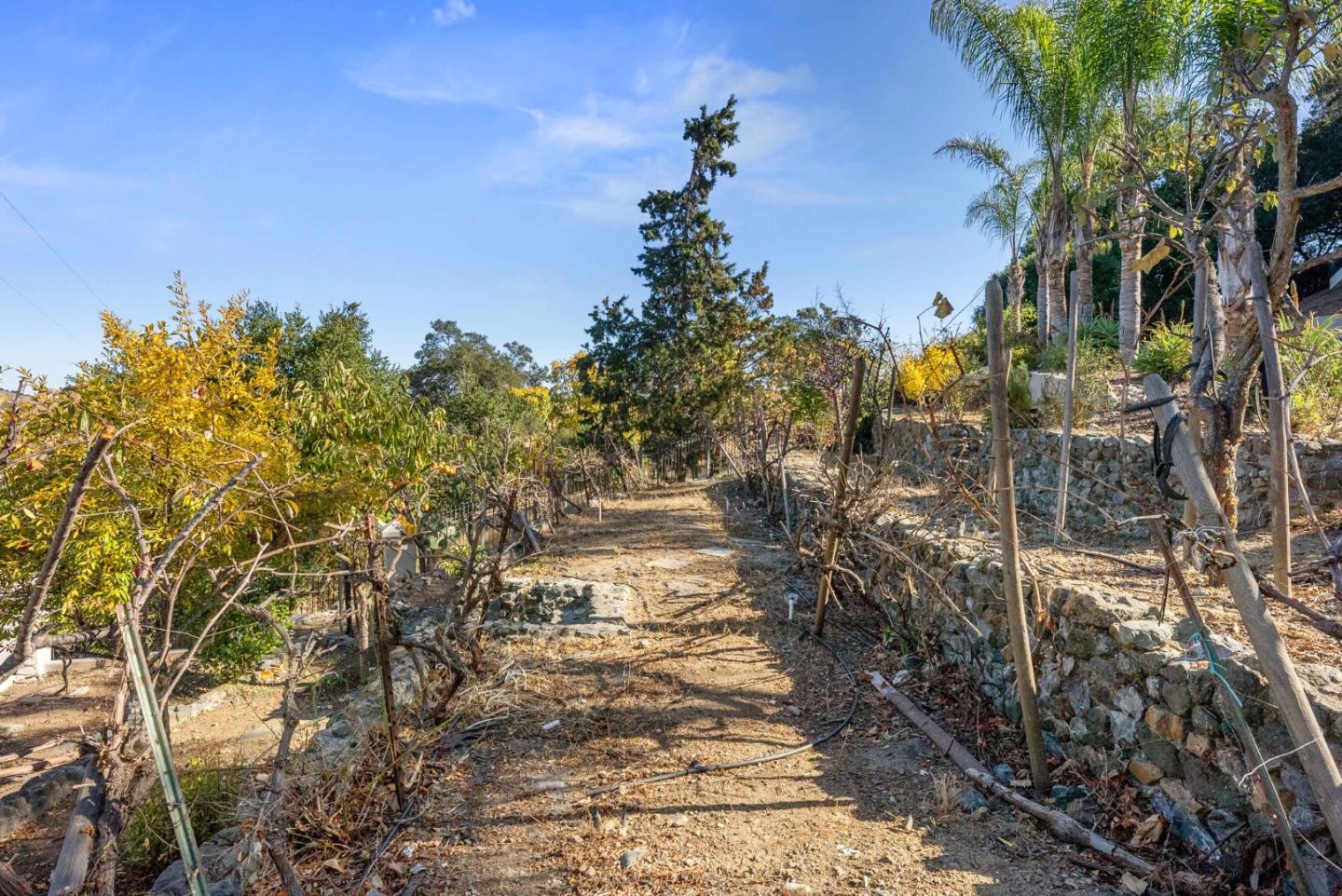 Detail Gallery Image 85 of 92 For 20394 Almaden Rd, San Jose,  CA 95120 - 4 Beds | 4 Baths