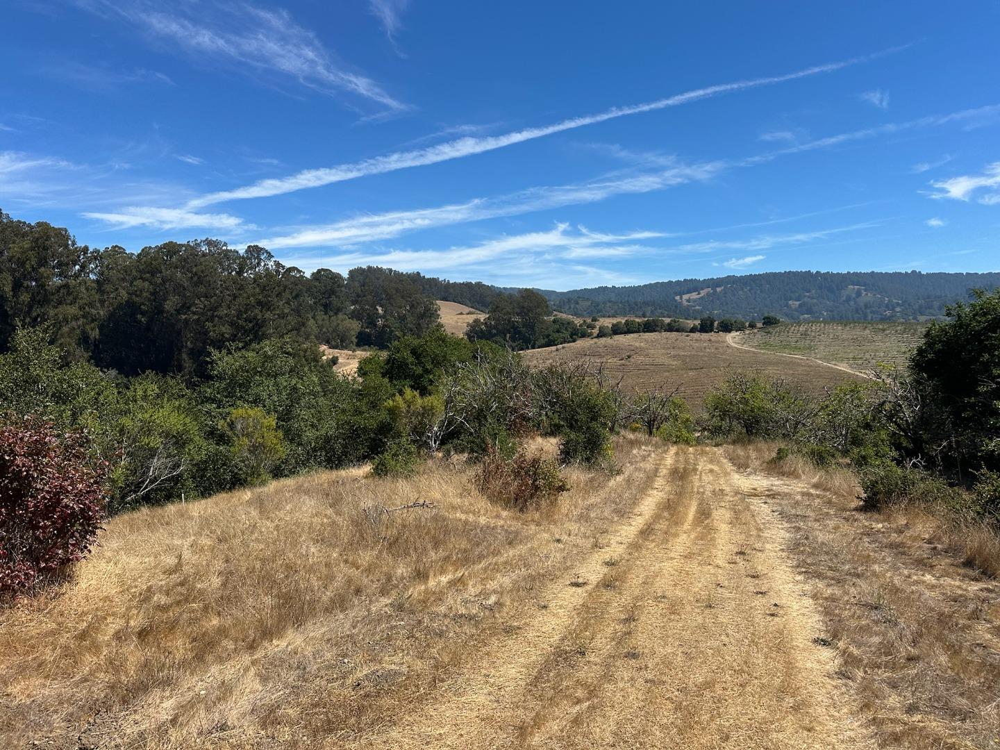 Detail Gallery Image 23 of 40 For 0 Sans Rd, Corralitos,  CA 95076 - – Beds | – Baths
