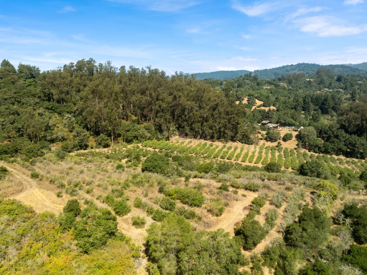 Detail Gallery Image 8 of 40 For 0 Sans Rd, Corralitos,  CA 95076 - – Beds | – Baths