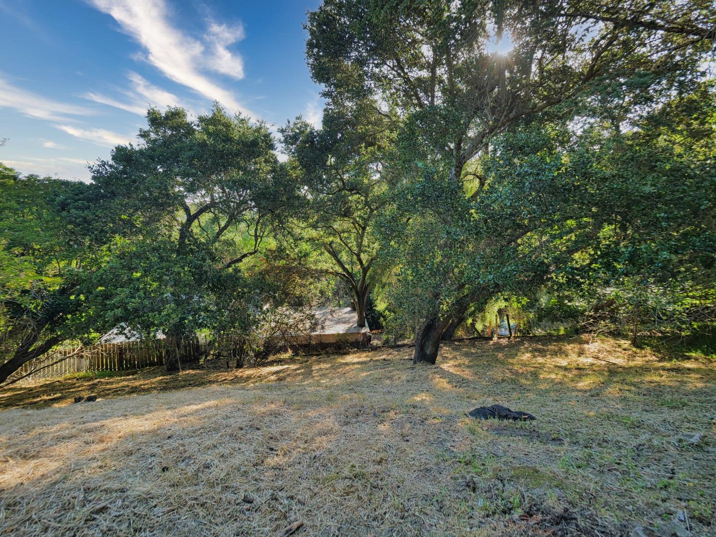 Detail Gallery Image 23 of 32 For 514 Live Oak Ln, Redwood City,  CA 94062 - 4 Beds | 2/1 Baths