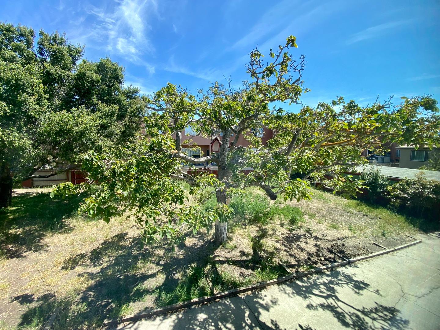 Detail Gallery Image 10 of 41 For 1076 Grand Ave, South San Francisco,  CA 94080 - 3 Beds | 2 Baths