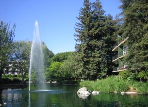 Detail Gallery Image 37 of 37 For 932 Peninsula Ave #406,  San Mateo,  CA 94401 - 2 Beds | 1 Baths