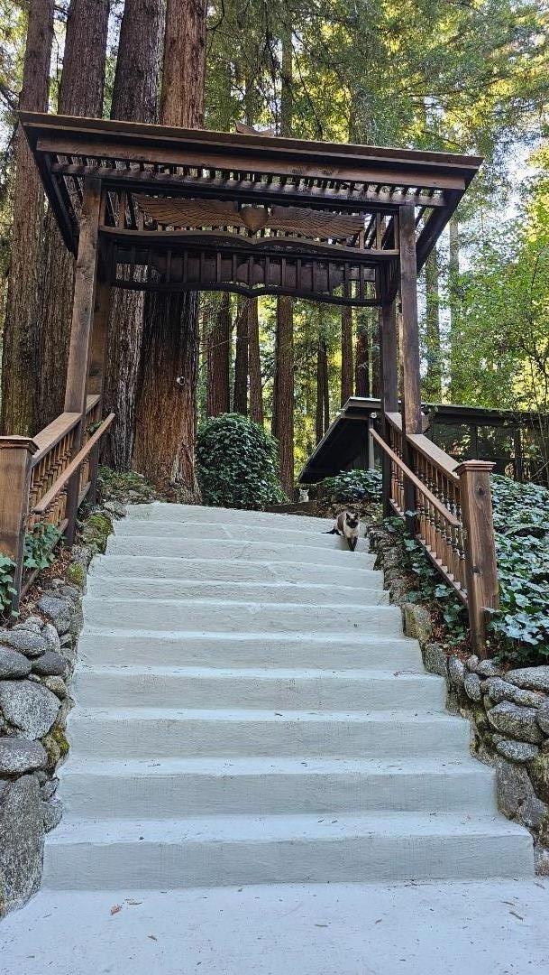 Detail Gallery Image 56 of 68 For 240 Old River Ln, Brookdale,  CA 95007 - 3 Beds | 3/1 Baths