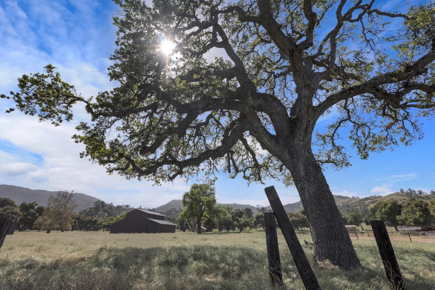 Detail Gallery Image 30 of 39 For 770 Limekiln Rd, Hollister,  CA 95023 - – Beds | – Baths