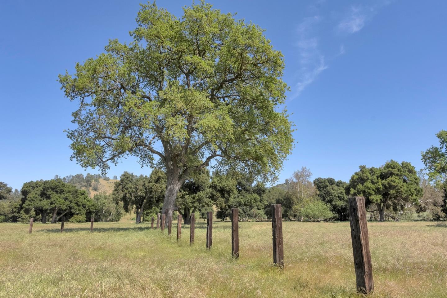 Detail Gallery Image 31 of 39 For 770 Limekiln Rd, Hollister,  CA 95023 - – Beds | – Baths