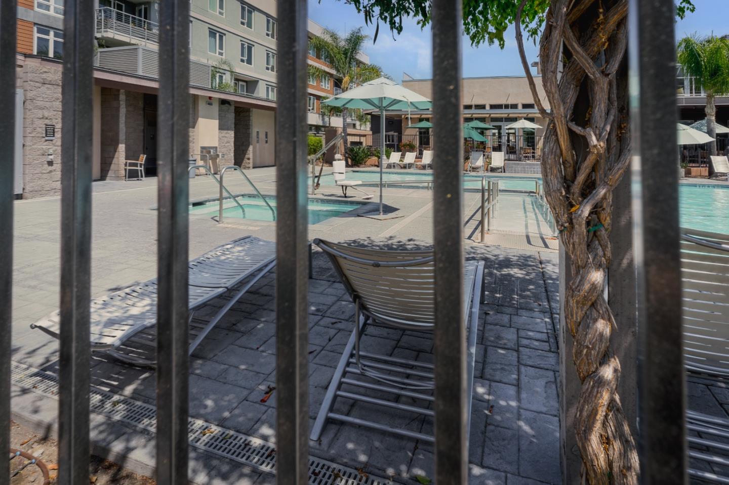 Detail Gallery Image 48 of 56 For 862 White Moonstone Loop, San Jose,  CA 95123 - 3 Beds | 3/1 Baths