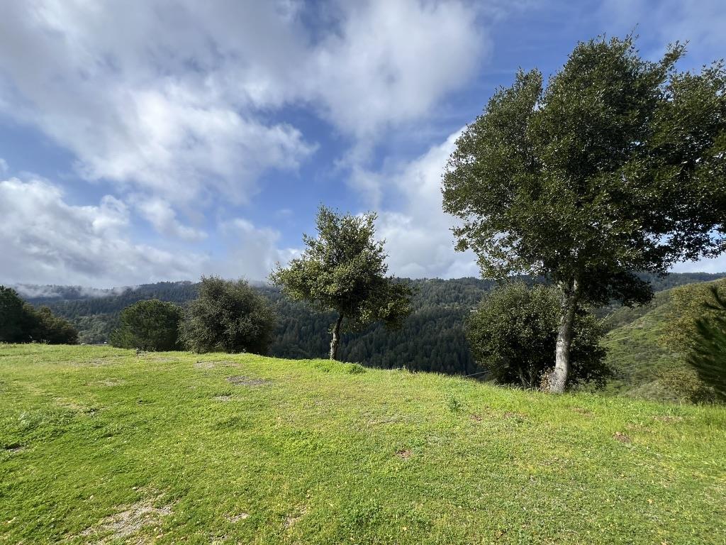 Detail Gallery Image 42 of 48 For 19375 Montevina Rd, Los Gatos,  CA 95033 - – Beds | – Baths