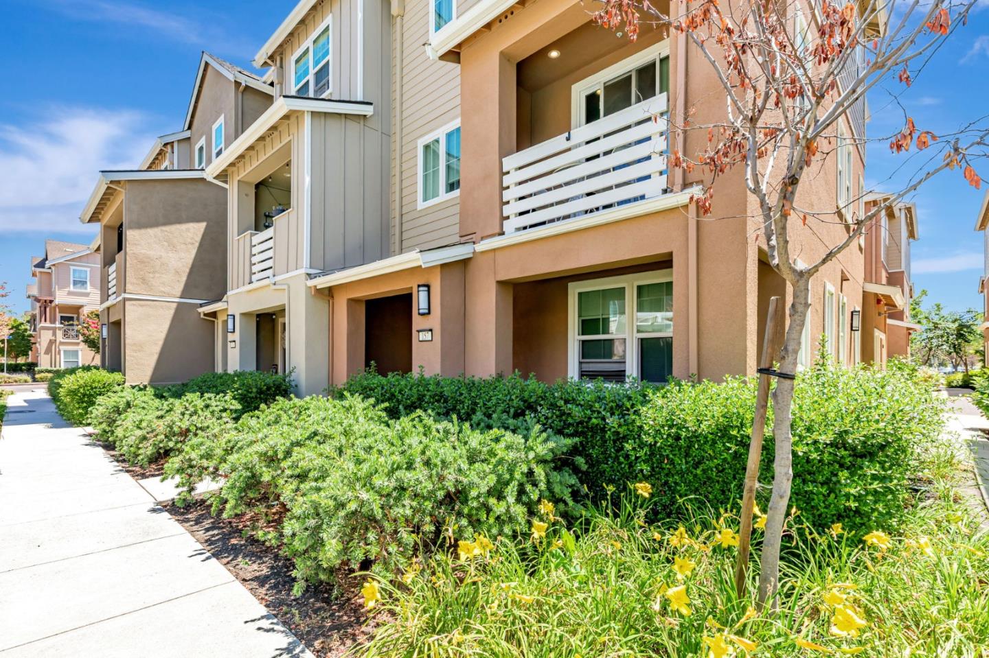 Detail Gallery Image 1 of 18 For 157 Triggs Ln, Morgan Hill,  CA 95037 - 4 Beds | 3/1 Baths