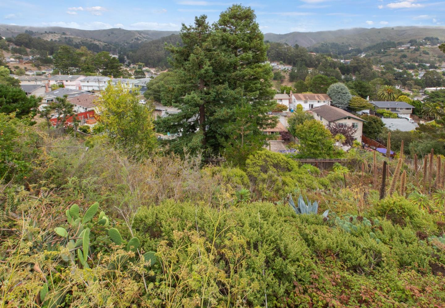 Detail Gallery Image 50 of 72 For 1137 Manzanita Dr, Pacifica,  CA 94044 - 3 Beds | 2 Baths