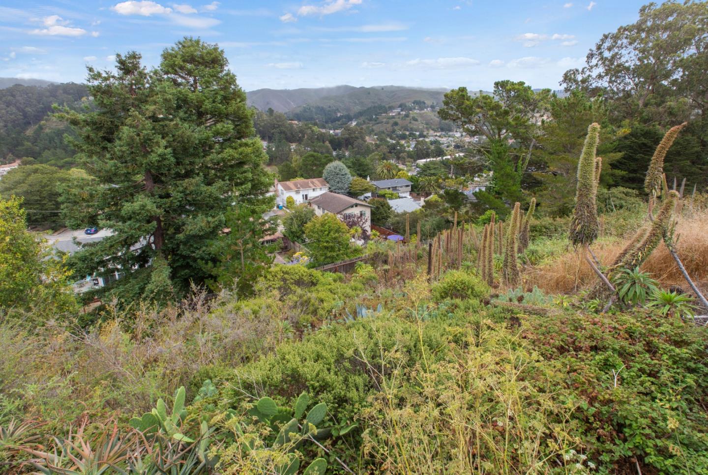 Detail Gallery Image 51 of 72 For 1137 Manzanita Dr, Pacifica,  CA 94044 - 3 Beds | 2 Baths