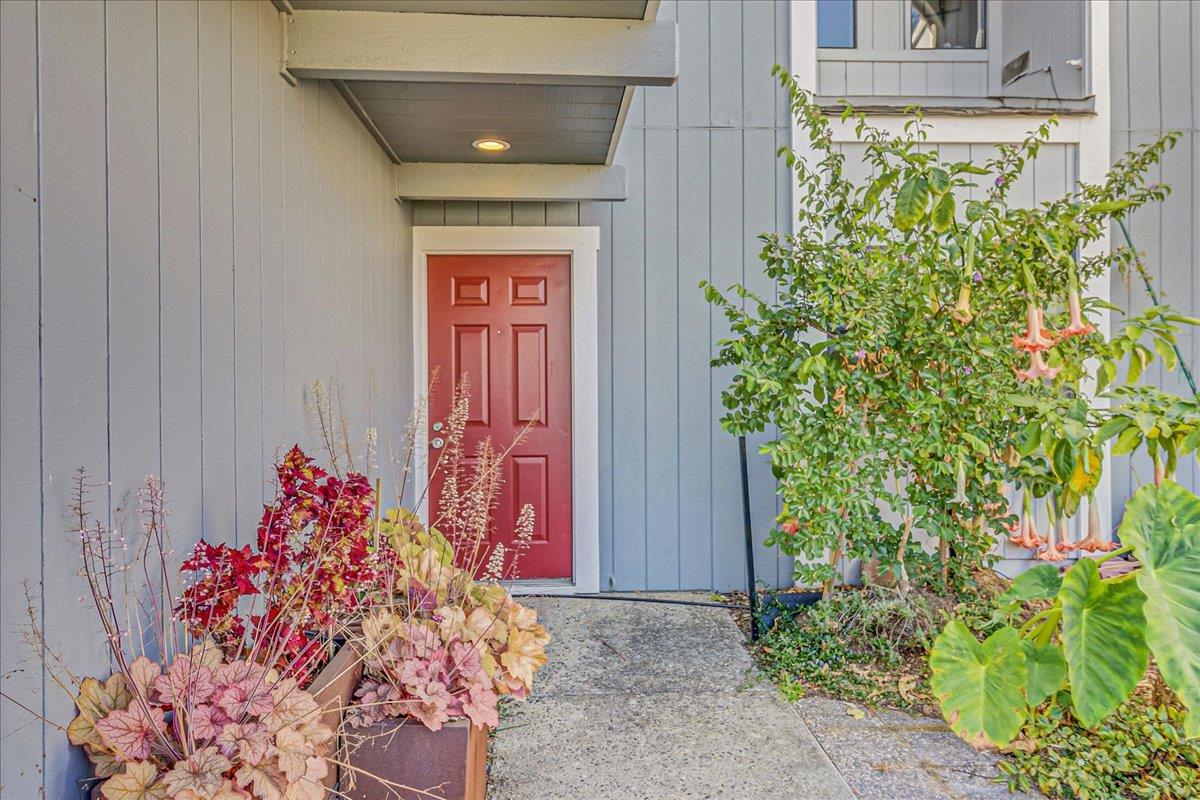 Detail Gallery Image 3 of 32 For 1757 30th Ave, Santa Cruz,  CA 95062 - 2 Beds | 2/1 Baths