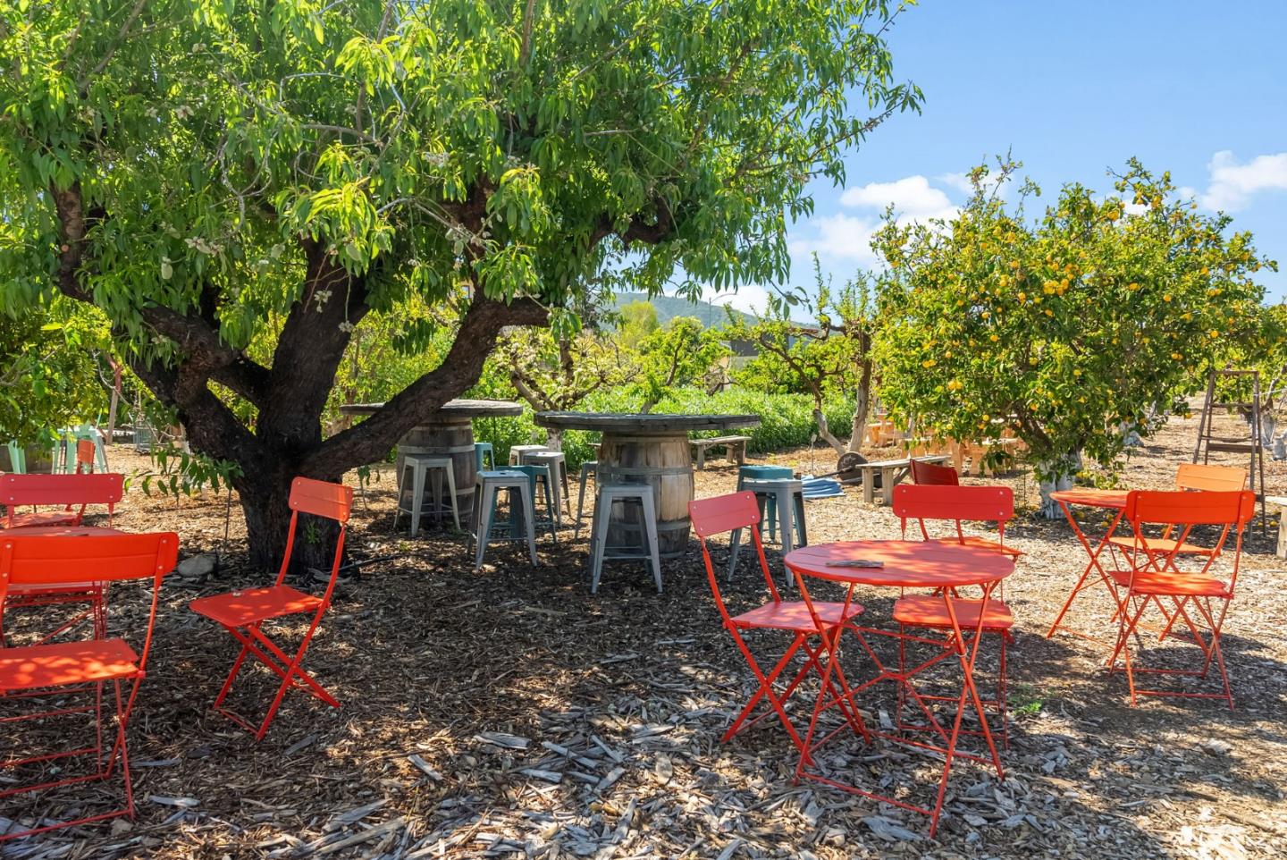 Detail Gallery Image 35 of 37 For 1561 Rose Anna Dr, San Jose,  CA 95118 - 3 Beds | 2 Baths