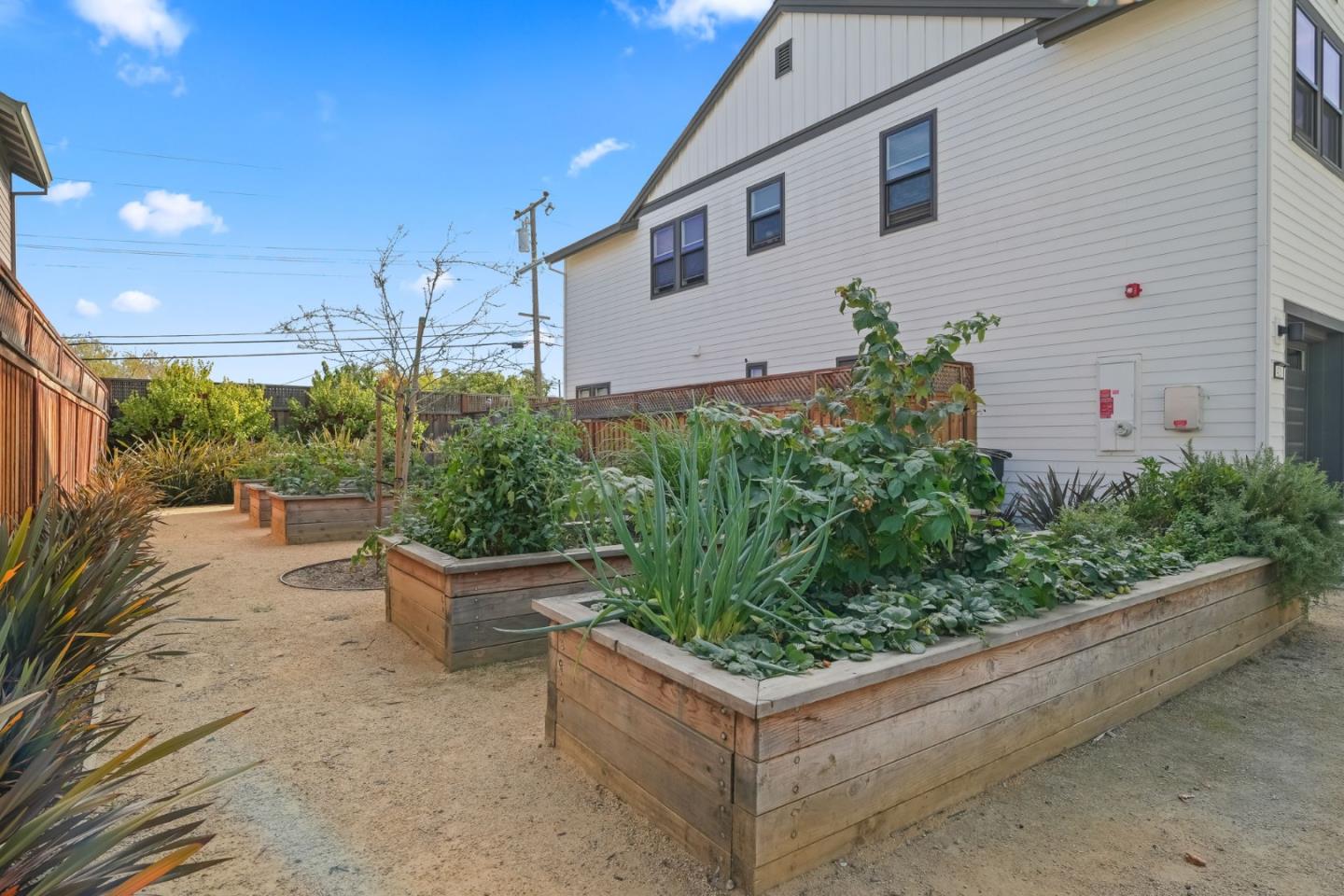 Photo #59: ML82018709 Listing: Photo #59