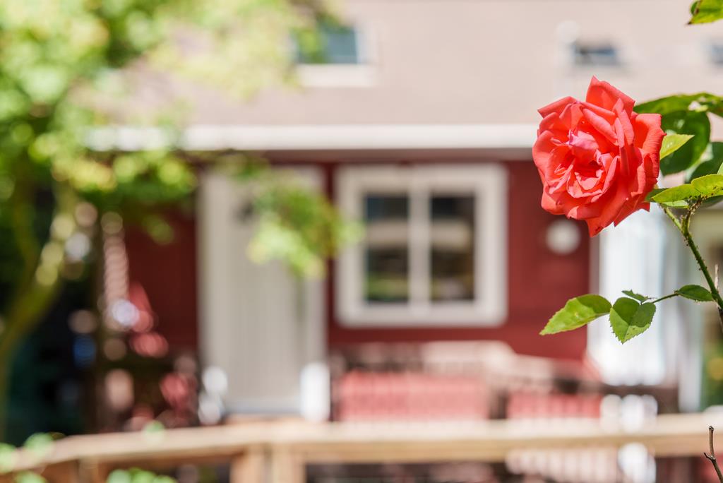 Detail Gallery Image 38 of 38 For 620 Knoll Way, Felton,  CA 95018 - 3 Beds | 2 Baths