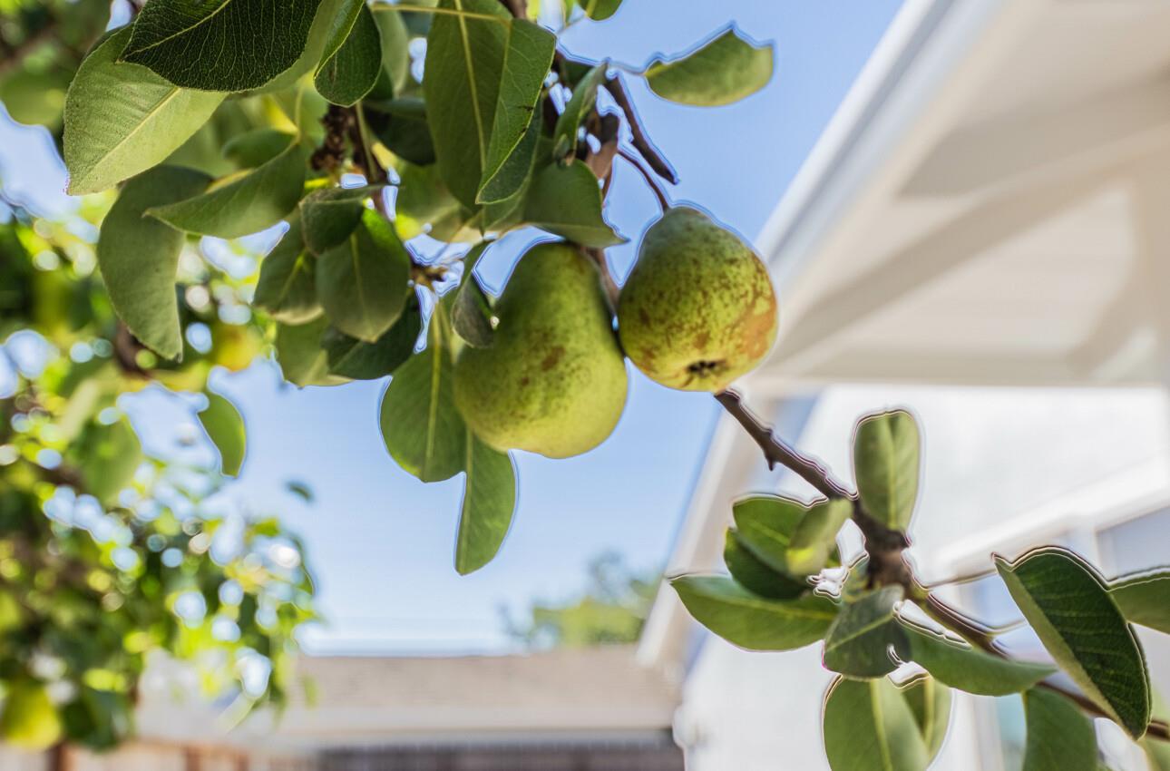 Detail Gallery Image 38 of 41 For 1244 La Mirada Dr, Salinas,  CA 93901 - 3 Beds | 2 Baths