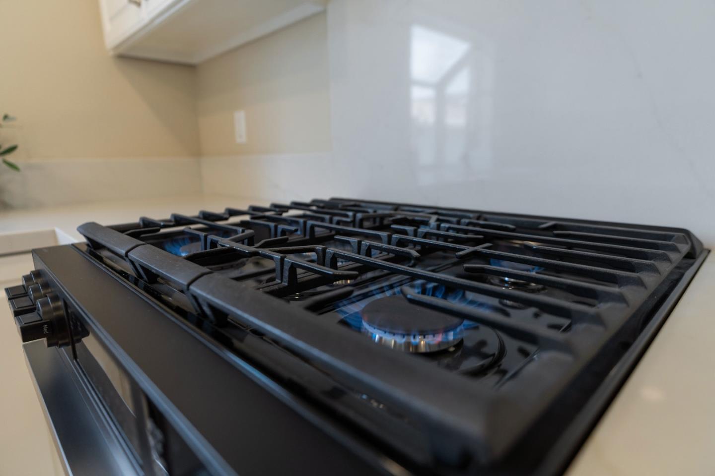 Detail Gallery Image 17 of 53 For 800 Dolan Rd #4,  Moss Landing,  CA 95039 - 3 Beds | 2 Baths