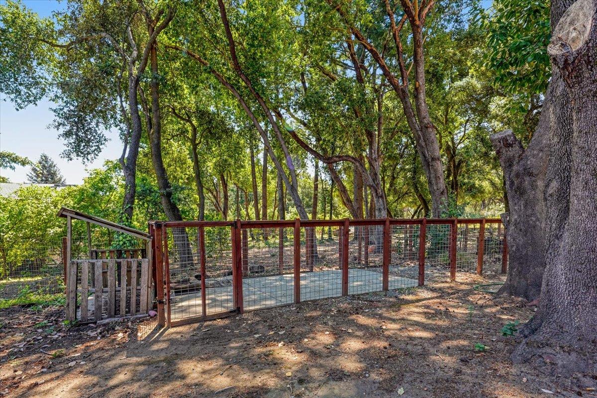 Detail Gallery Image 56 of 59 For 360 Braemoor Dr, Santa Cruz,  CA 95060 - 4 Beds | 3/1 Baths