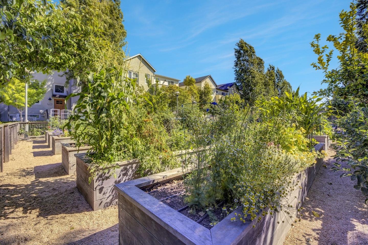 Detail Gallery Image 52 of 73 For 3044 Mawing Rd, San Mateo,  CA 94403 - 4 Beds | 4 Baths
