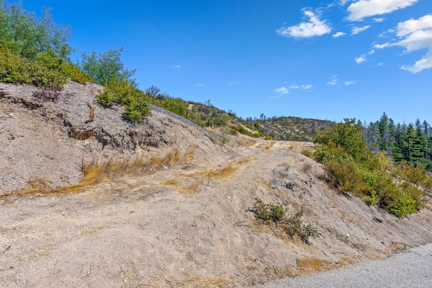 Detail Gallery Image 11 of 22 For 500 Hill House Rd, Boulder Creek,  CA 95006 - – Beds | – Baths