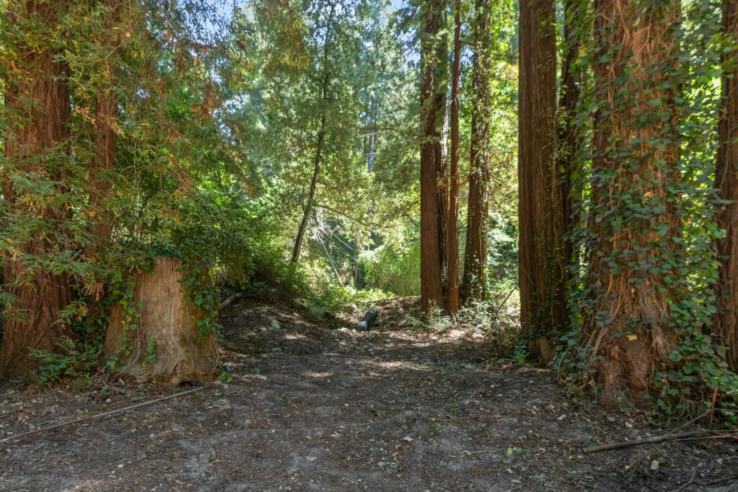 Detail Gallery Image 6 of 18 For 29 Park Way, Mount Hermon,  CA 95041 - – Beds | – Baths
