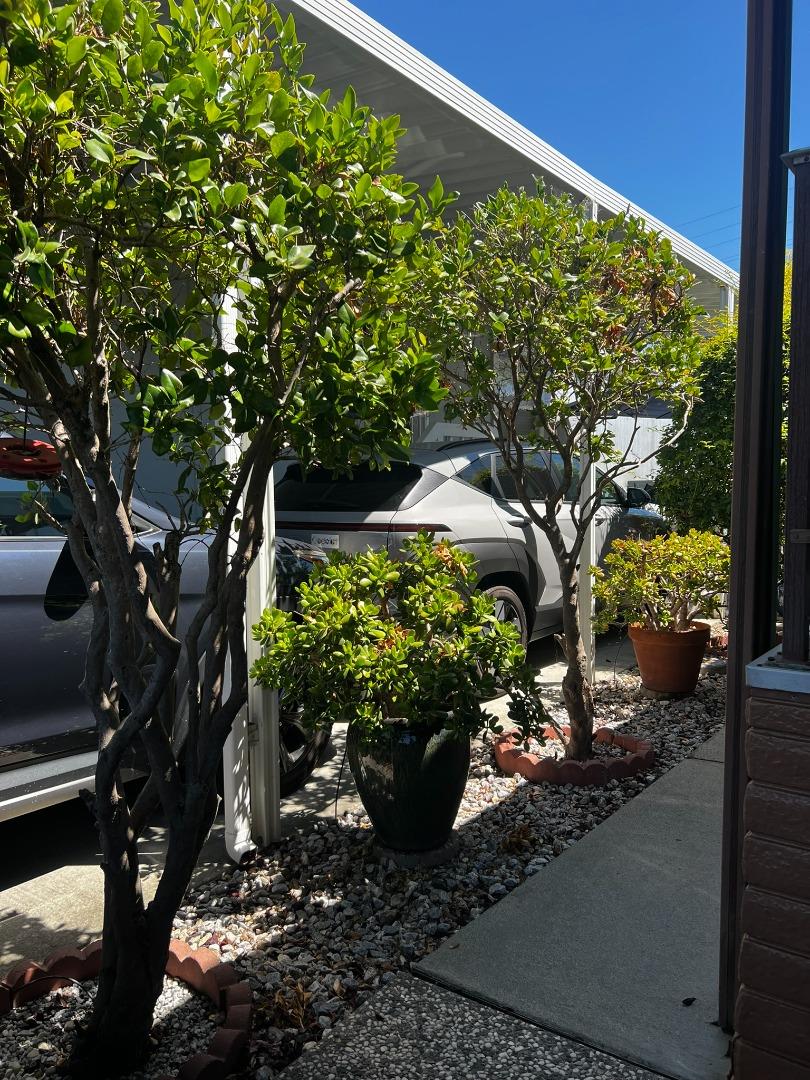 Detail Gallery Image 58 of 89 For 690 Persian Dr #50,  Sunnyvale,  CA 94089 - 2 Beds | 2 Baths
