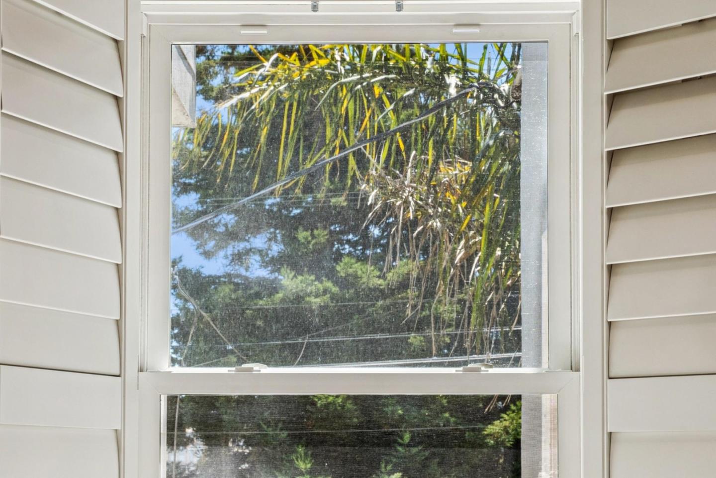 Detail Gallery Image 15 of 86 For 219 Crescent Ave, San Francisco,  CA 94110 - 2 Beds | 2 Baths