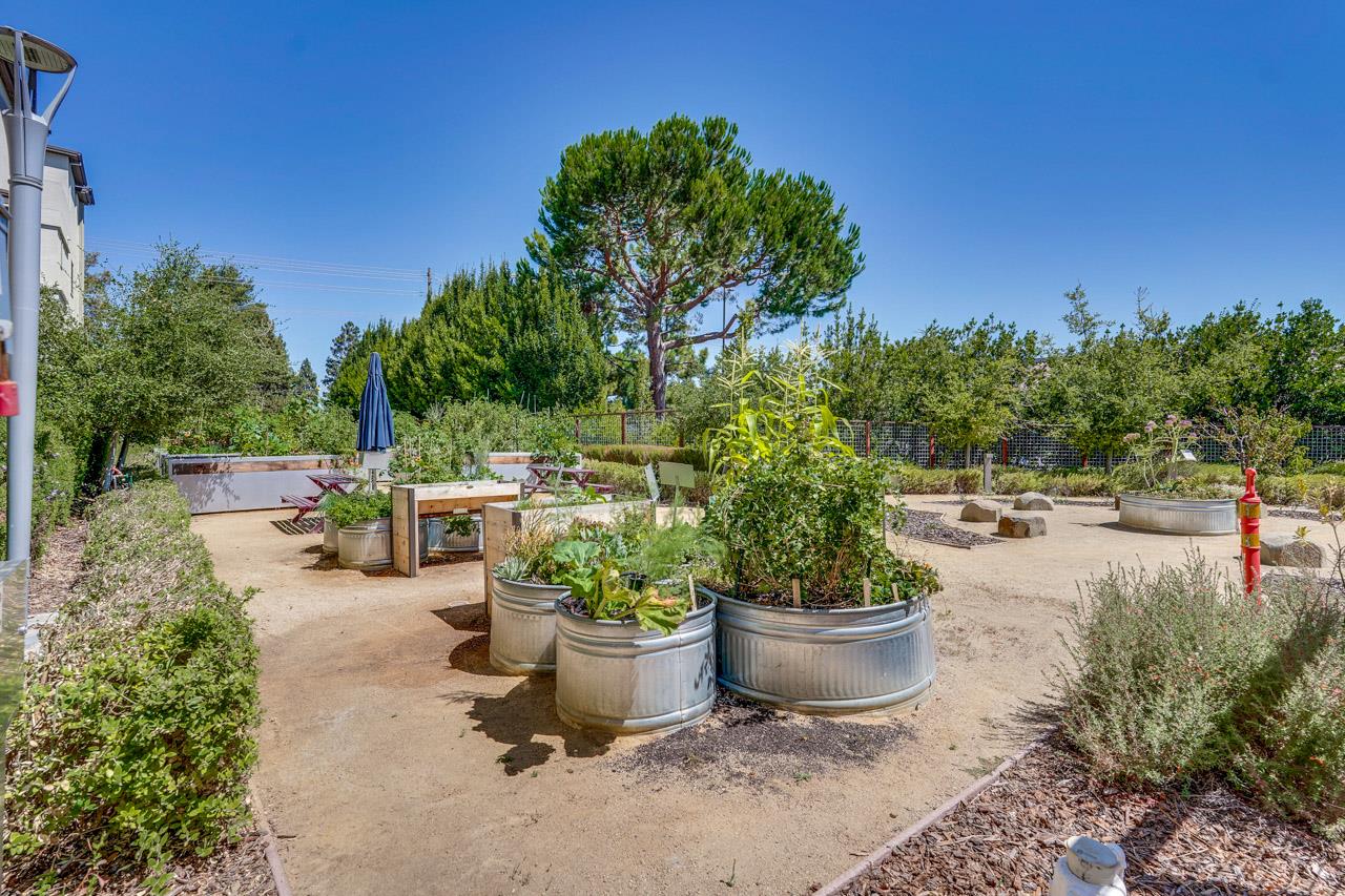 Detail Gallery Image 57 of 65 For 3040 Boyter Pl #103,  Santa Clara,  CA 95051 - 3 Beds | 3/1 Baths