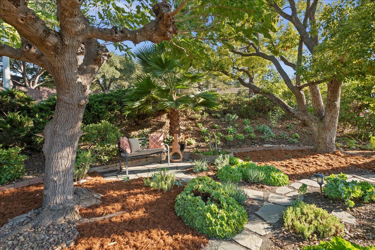 Detail Gallery Image 8 of 48 For 103 Belridge Dr, Los Gatos,  CA 95032 - 4 Beds | 3 Baths