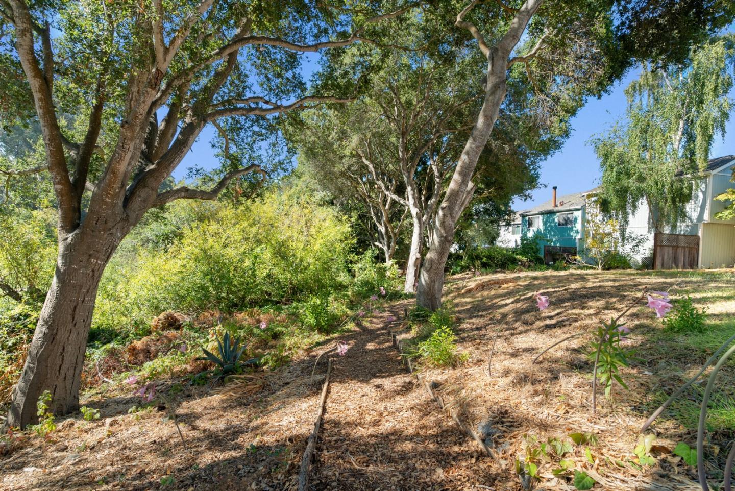 Detail Gallery Image 36 of 42 For 2522 Charlene Ln, Santa Cruz,  CA 95062 - 3 Beds | 1/1 Baths