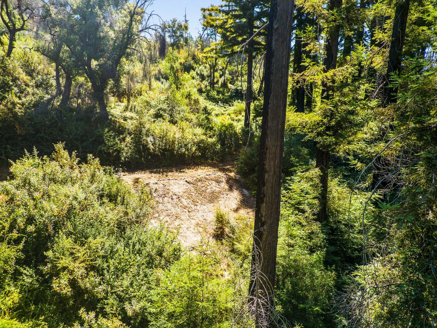 Detail Gallery Image 3 of 10 For 585 Robles Dr, Santa Cruz,  CA 95060 - – Beds | – Baths