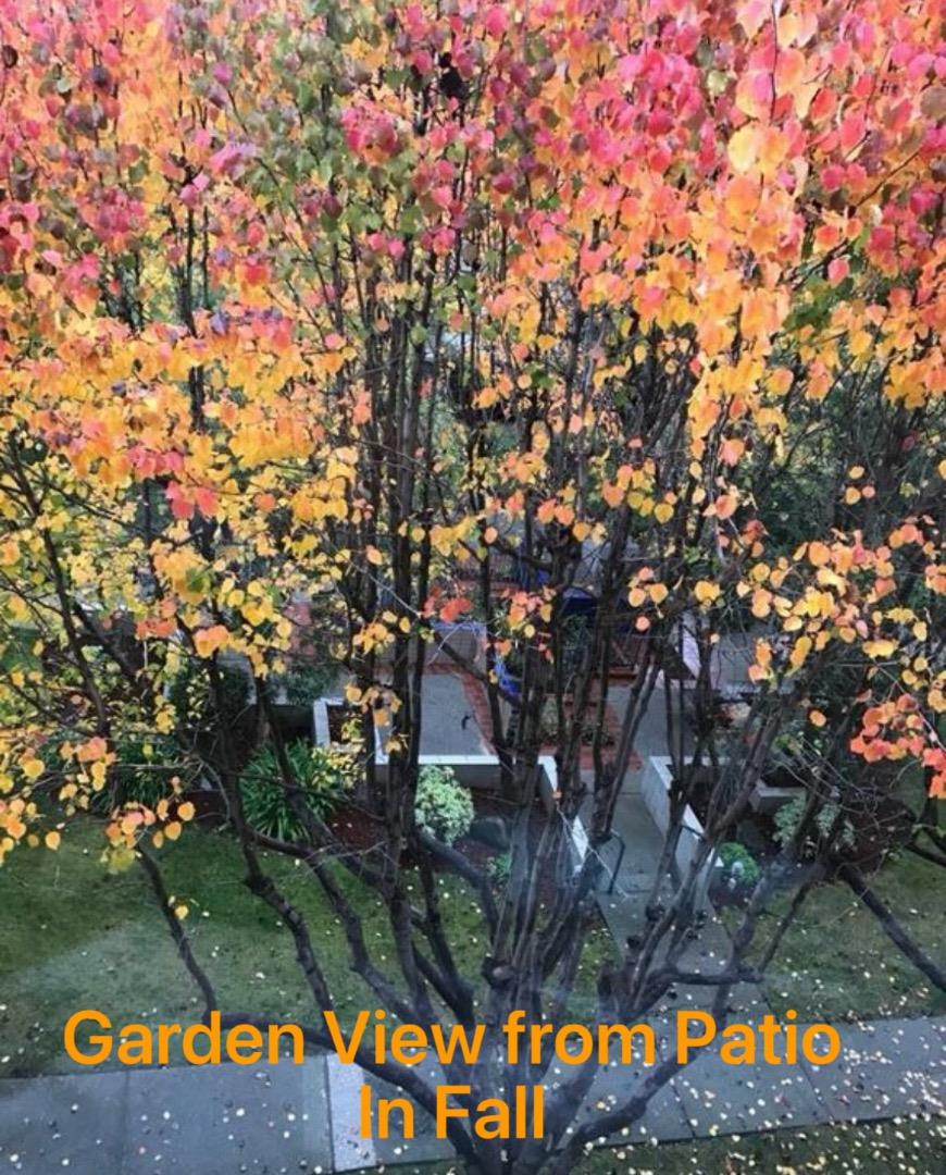 Detail Gallery Image 33 of 34 For 22330 Homestead Rd #307,  Cupertino,  CA 95014 - 2 Beds | 2 Baths