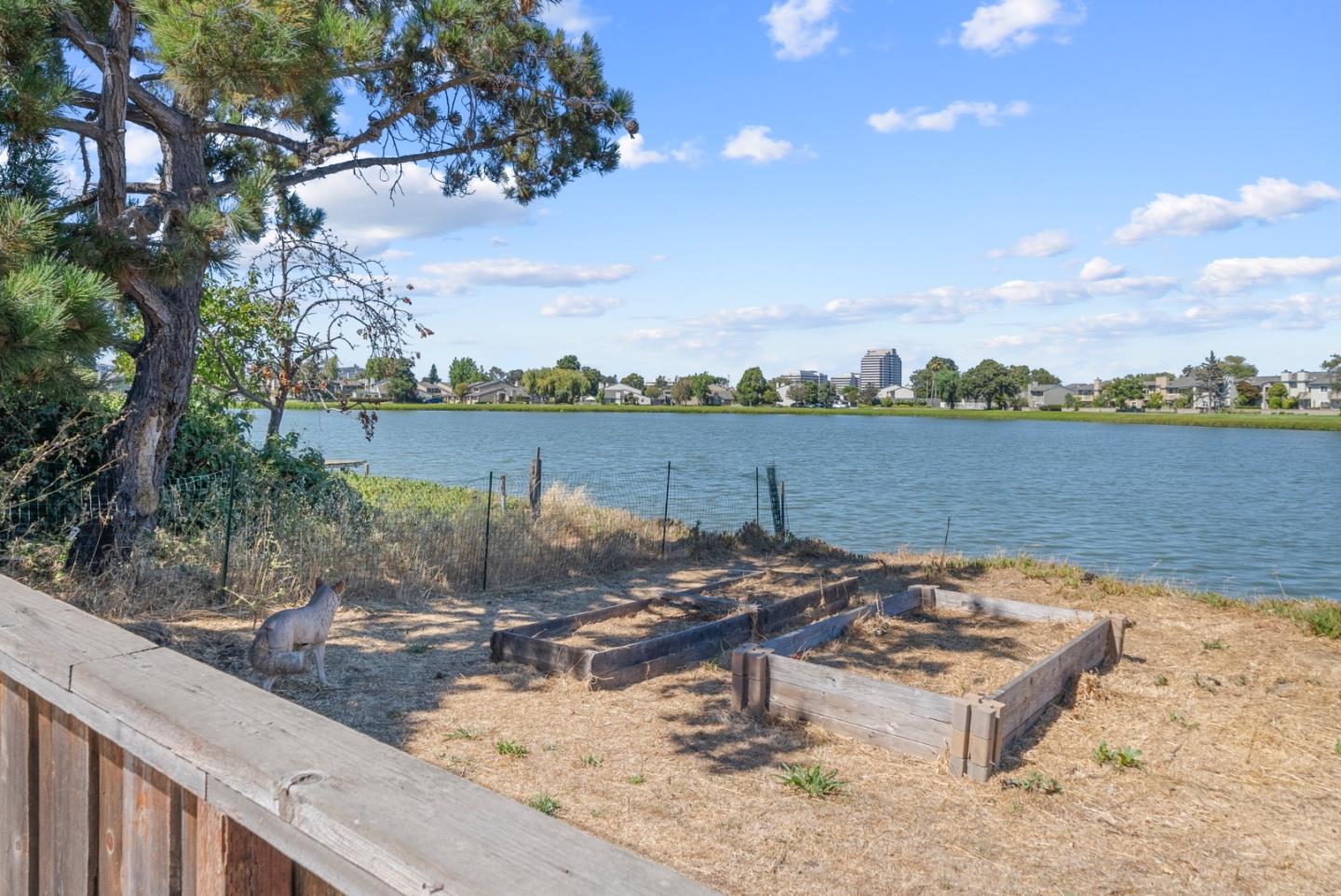 Detail Gallery Image 38 of 95 For 1567 Lago St, San Mateo,  CA 94403 - – Beds | – Baths