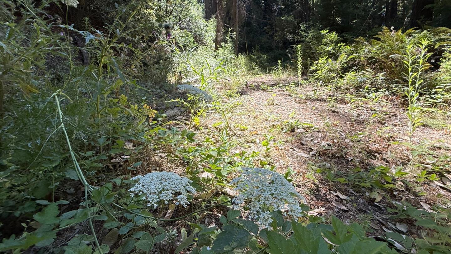 Detail Gallery Image 8 of 8 For 15645 Stetson Rd, Los Gatos,  CA 95033 - – Beds | – Baths