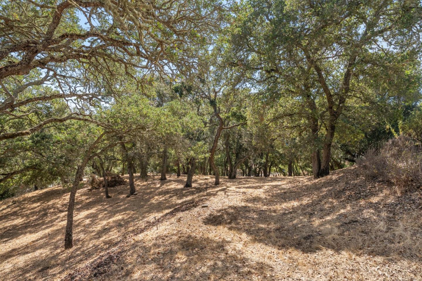 Detail Gallery Image 42 of 43 For 20 Bear Gulch Dr, Portola Valley,  CA 94028 - 4 Beds | 3 Baths
