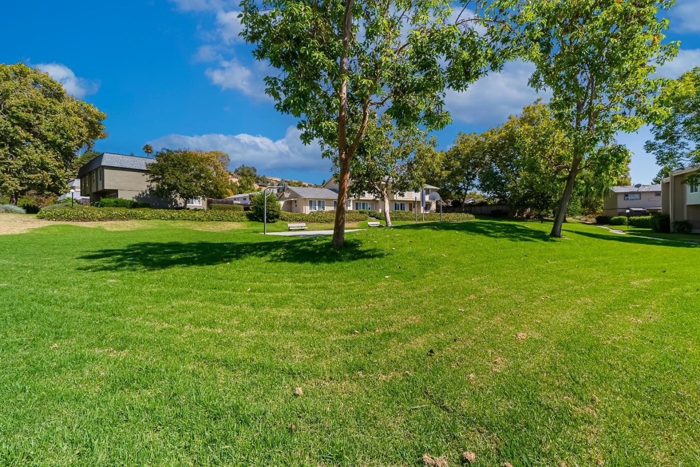 Detail Gallery Image 37 of 44 For 3437 Duchess Ct, San Jose,  CA 95132 - 4 Beds | 2/1 Baths