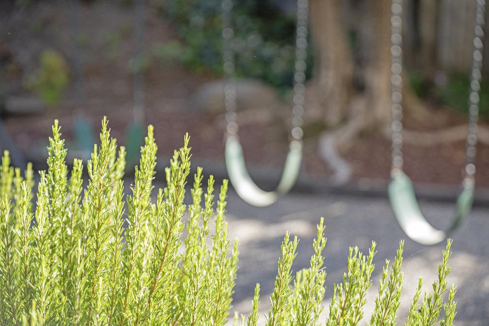 Detail Gallery Image 64 of 87 For 6490 Kings Pl, Gilroy,  CA 95020 - 5 Beds | 2/1 Baths