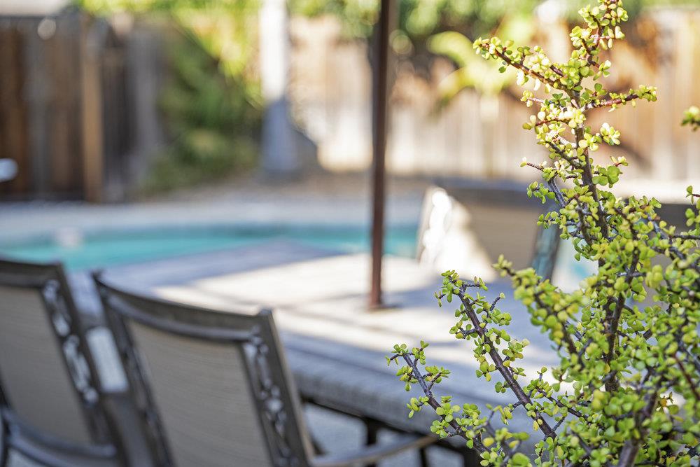 Detail Gallery Image 69 of 87 For 6490 Kings Pl, Gilroy,  CA 95020 - 5 Beds | 2/1 Baths