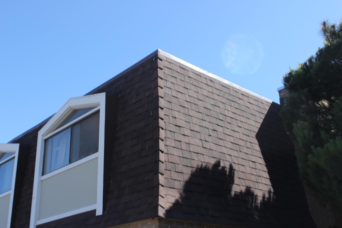 Detail Gallery Image 4 of 8 For 201 San Felipe Ave, South San Francisco,  CA 94080 - – Beds | – Baths