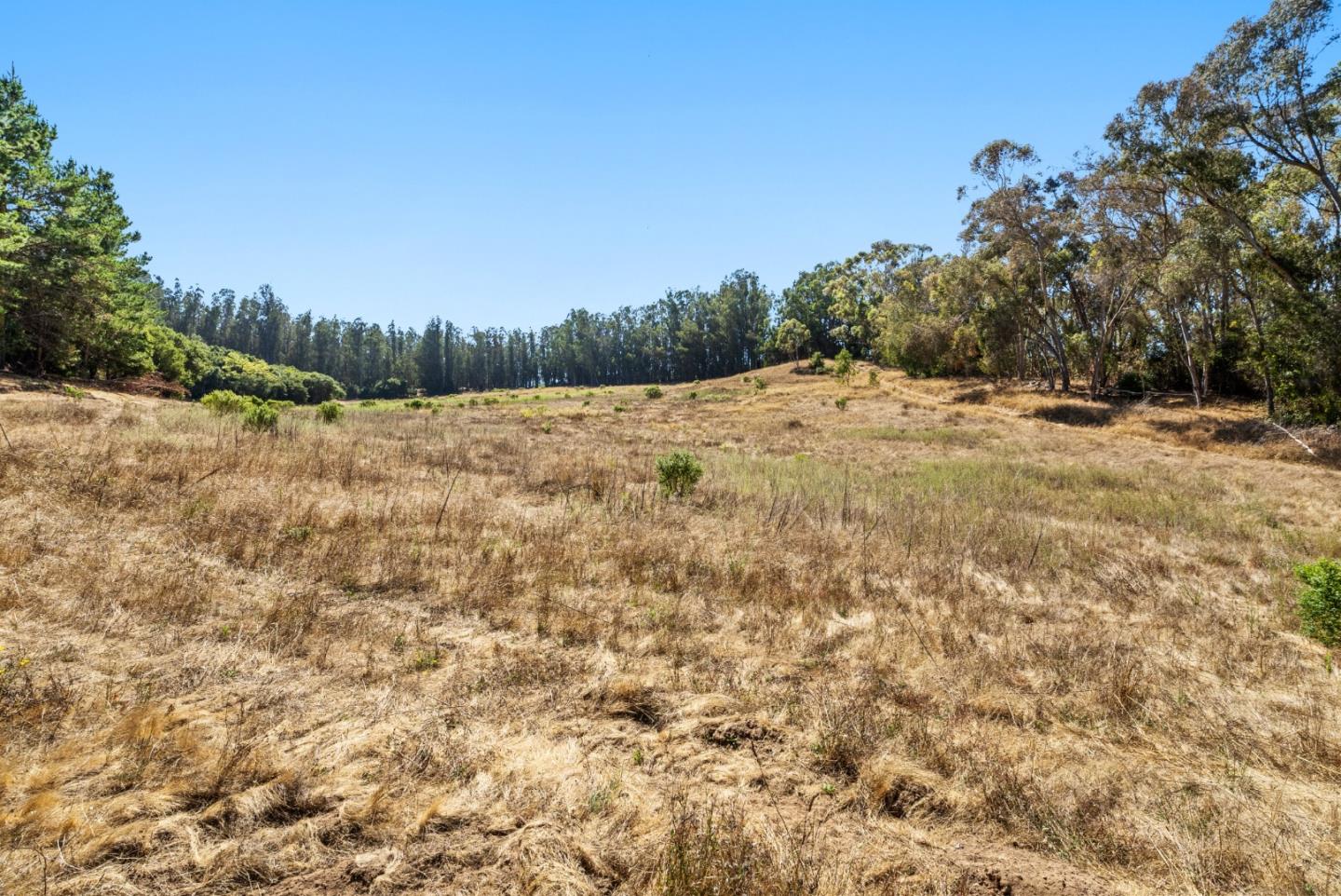 Detail Gallery Image 12 of 21 For 70 Corey Rd, Aromas,  CA 95004 - – Beds | – Baths