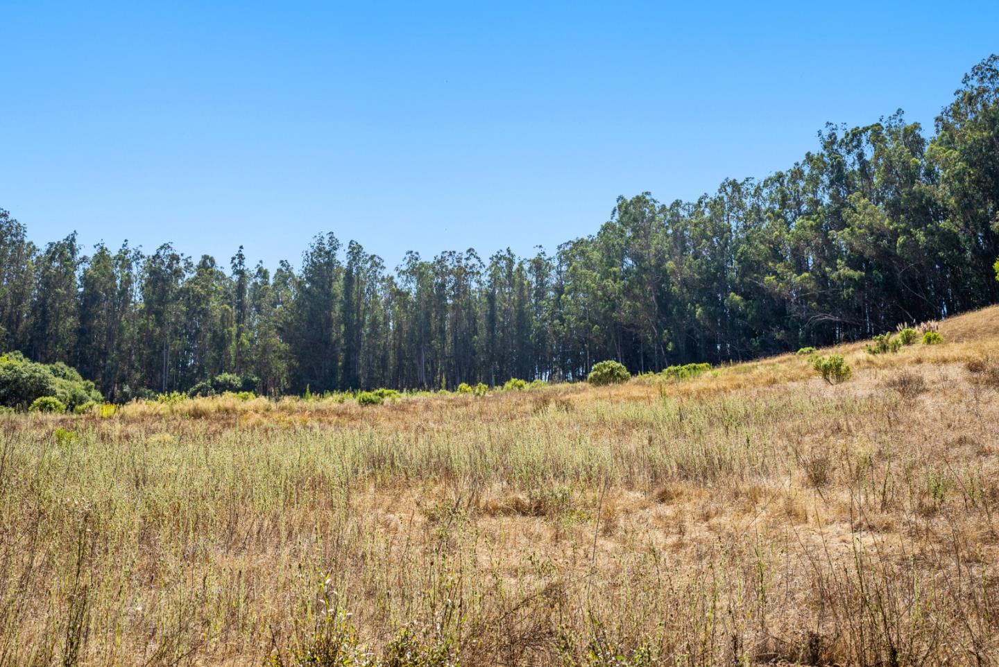 Detail Gallery Image 16 of 21 For 70 Corey Rd, Aromas,  CA 95004 - – Beds | – Baths