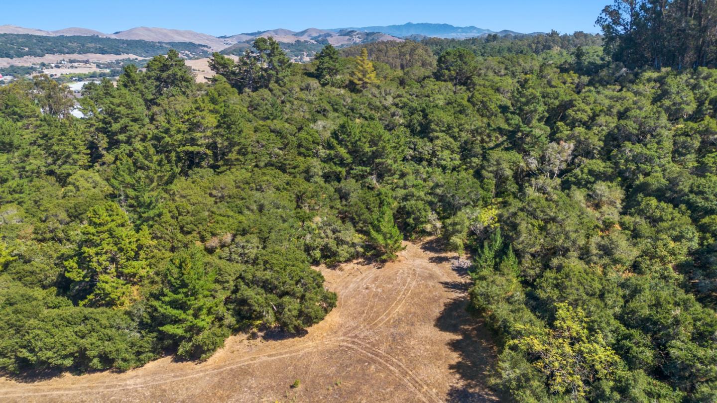 Detail Gallery Image 6 of 21 For 70 Corey Rd, Aromas,  CA 95004 - – Beds | – Baths