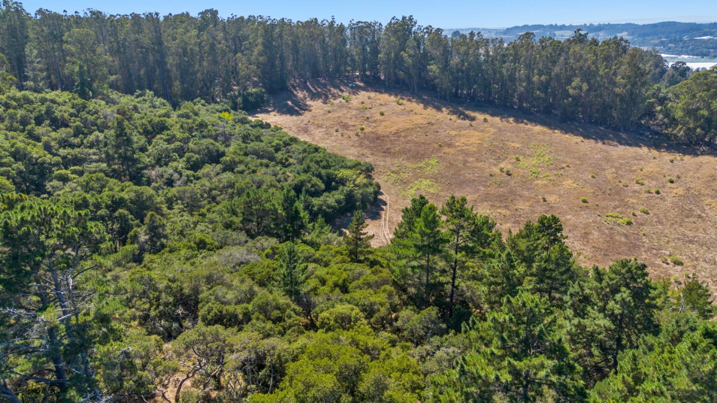 Detail Gallery Image 8 of 21 For 70 Corey Rd, Aromas,  CA 95004 - – Beds | – Baths