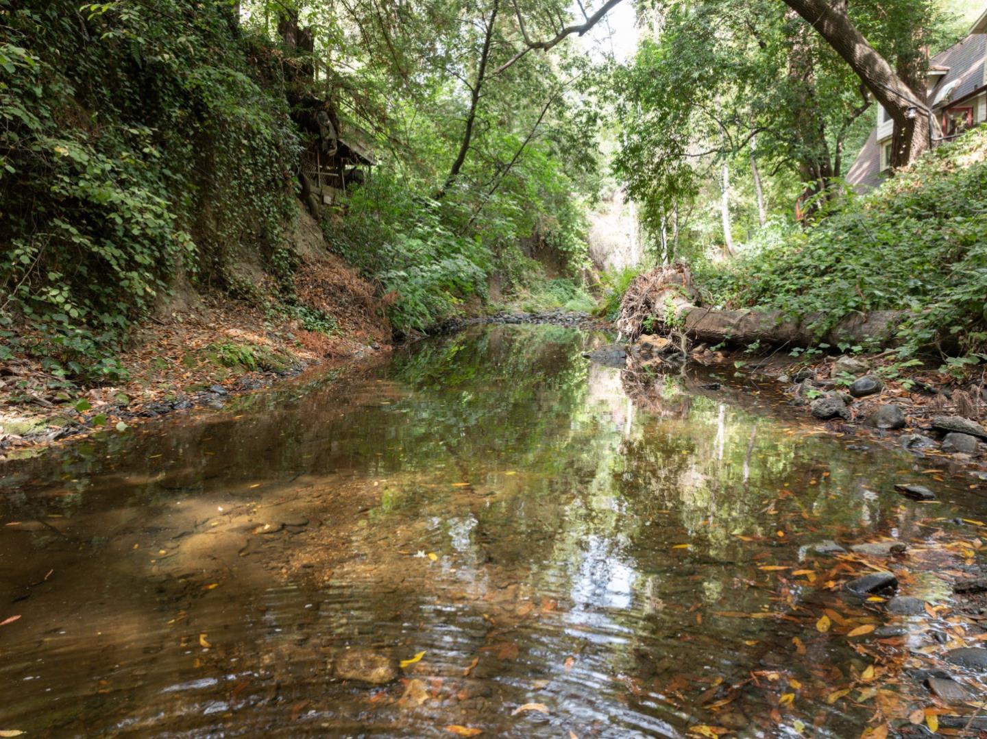 Detail Gallery Image 38 of 45 For 15765 Kings Creek Rd, Boulder Creek,  CA 95006 - 2 Beds | 1 Baths