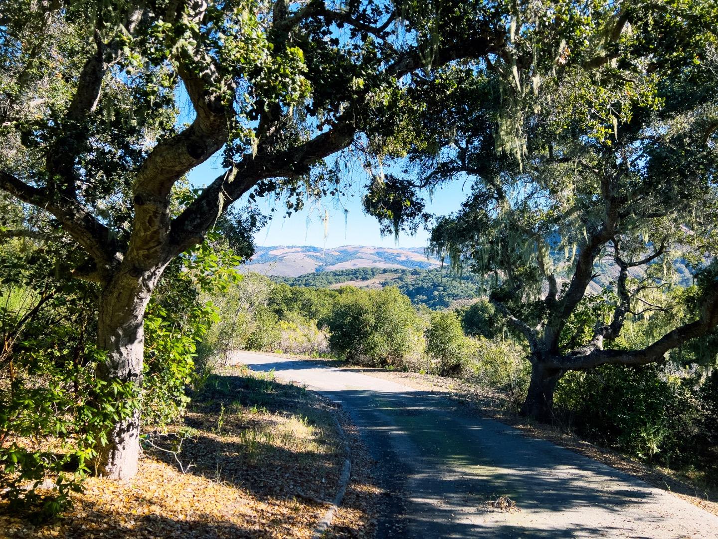 Detail Gallery Image 11 of 11 For 7 Holding Field Run, Carmel Valley,  CA 93923 - – Beds | – Baths