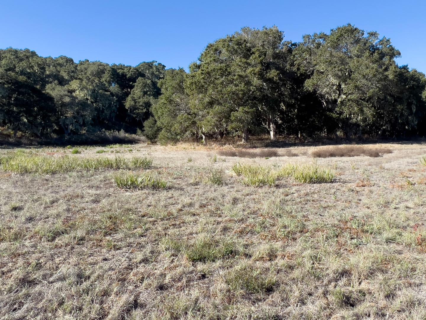 Detail Gallery Image 3 of 11 For 7 Holding Field Run, Carmel Valley,  CA 93923 - – Beds | – Baths